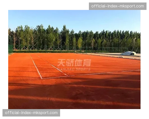 红土上的“放小球”艺术：时机、旋转与场地条件的综合分析